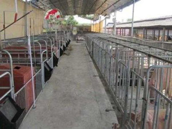 开云网页登录口:柏中环境获得湿法分级进料分配器专利使物料在分选筛上均匀散布